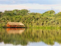 A view of Sacha Lodge